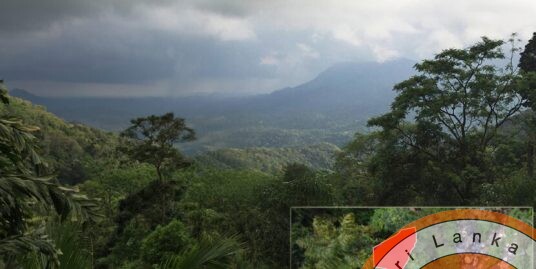 Stunning huge land in popular Ella for reduced price