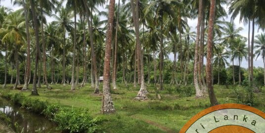 Thalpe Upmarket Development plot