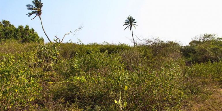 Perfect Beach Plot with Lagoon Views-4-4