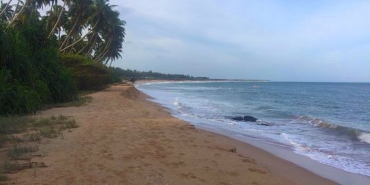 Affordable  Land on Swimmable Beach
