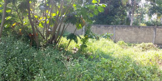 Pretty Plantation Land for Tourist Operation