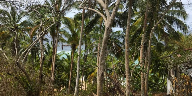 Small-and-Medium-Plots-with-Fantastic-View-over-Famous-Beach-3