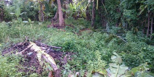 Small plot Very Close to the Beach