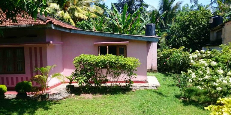 Small Budget House in Good Location-1