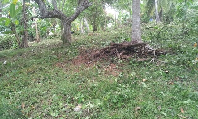 Elevated Plot with Exceptional Ocean View-1