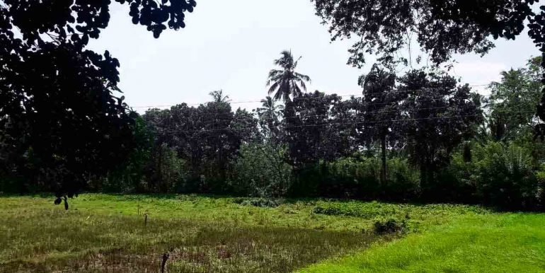 Generous Plot with Paddy Views (3 of 9)