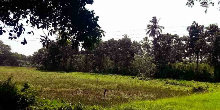 Generous Plot with Paddy Views (7 of 9)