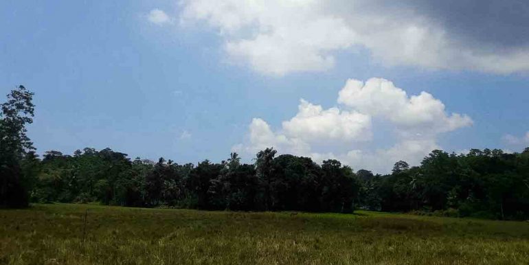 Generous Plot with Paddy Views (8 of 9)