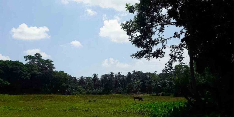 Generous Plot with Paddy Views (9 of 9)