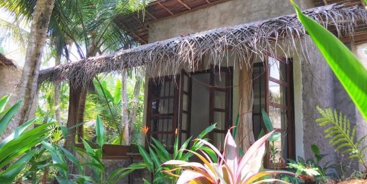 Perfect Guest House in Famous Hikkaduwa
