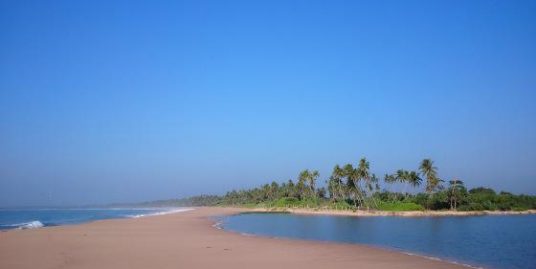 Perfect Sandy Beach Plot