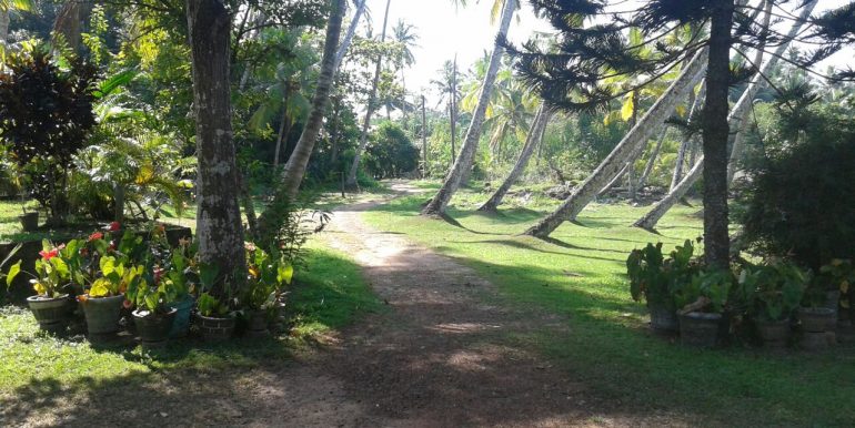 Spacious land very close to the beach-8