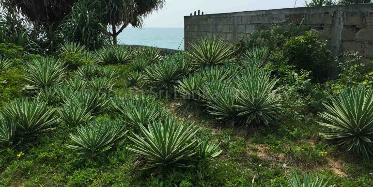 Beach Plot in Rekawa (1 of 8)