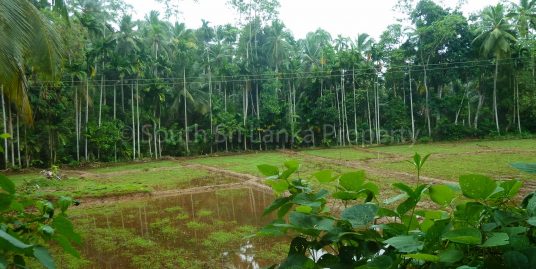 Cheap Large Plot Close to the Beach