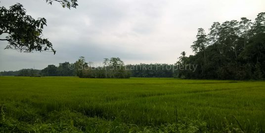 Great Piece of Land with Beautiful Views