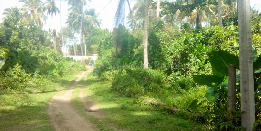 Small Plot in Smart  Location
