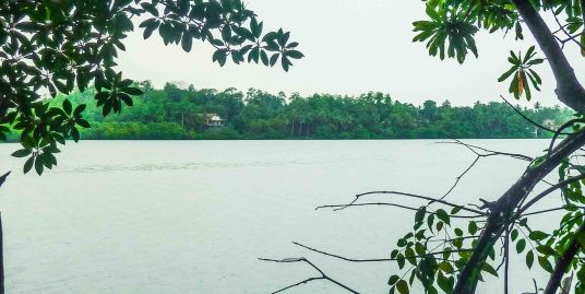 Stunning Water Front Property on Famous Lake