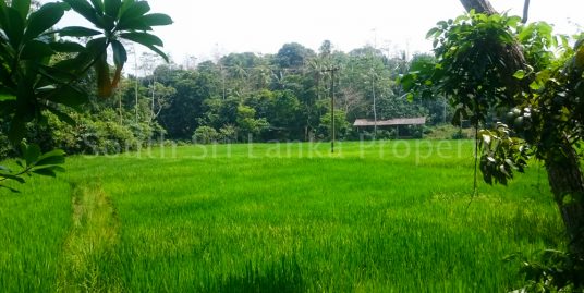 Protected: Small house with spectacular paddy views