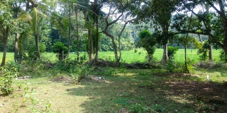 Small house with spectacular paddy views (10 of 11)