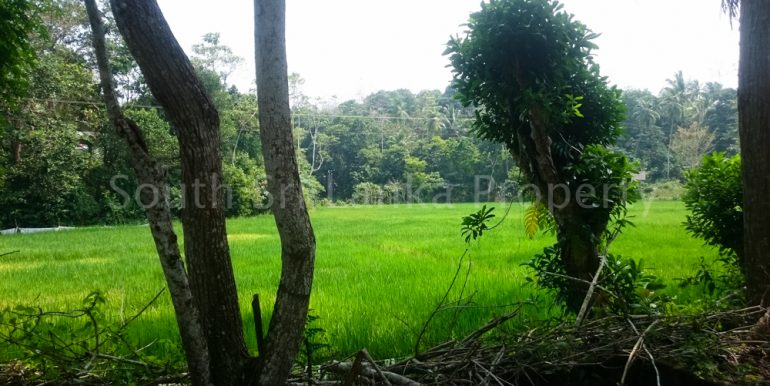 Small house with spectacular paddy views (4 of 11)