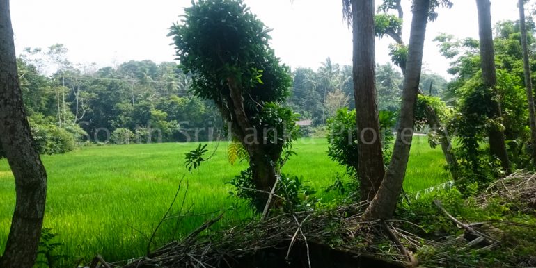 Small house with spectacular paddy views (5 of 11)