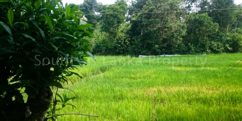 Small house with spectacular paddy views (6 of 11)