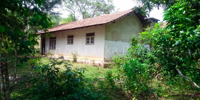 Small house with spectacular paddy views (7 of 11)