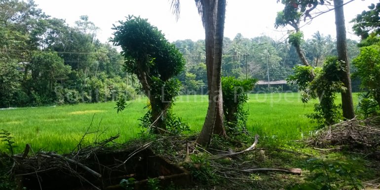 Small house with spectacular paddy views (8 of 11)