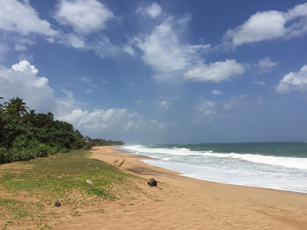 Superb Budget Beach Plot for a Smart Developer