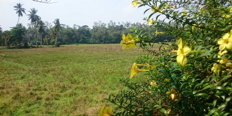 Really Nice House with the Superb Paddy View (2 of 4)