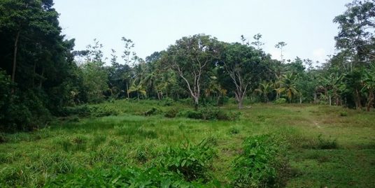 Generous Plot in Excellent Location – Great Value for Money