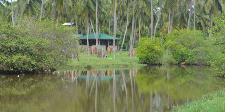 Hotel with Two Acres on the Beach and Lagoon-3