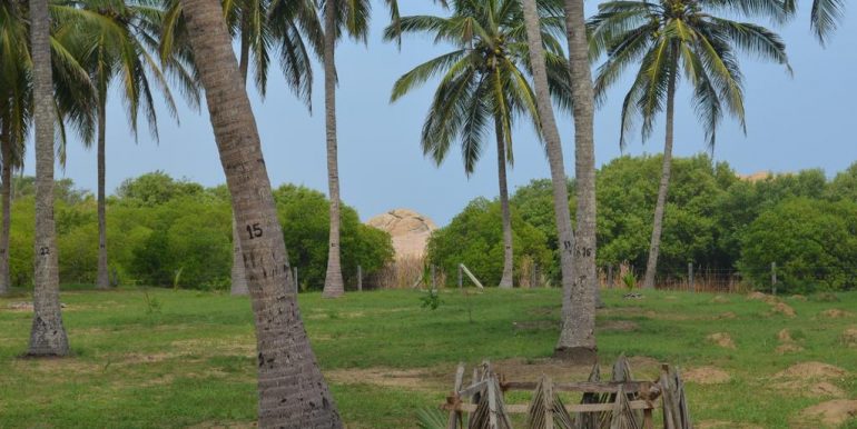 Hotel with Two Acres on the Beach and Lagoon-8