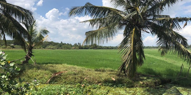 Unspoiled Beach Land Plot-1