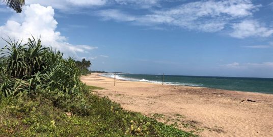 Unspoiled Beach Land Plot – Usangoda