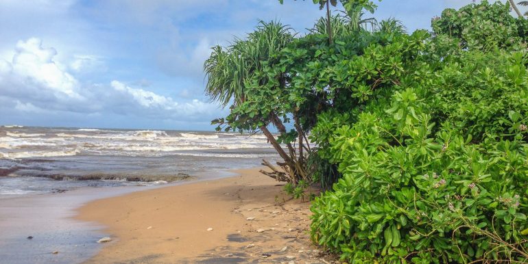 Quintessential Beach Plot near Galle (3 of 7)