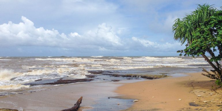 Quintessential Beach Plot near Galle (4 of 7)