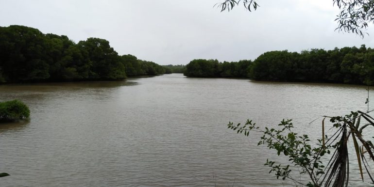 Beach Plots with Beach and Lagoon Frontage-1