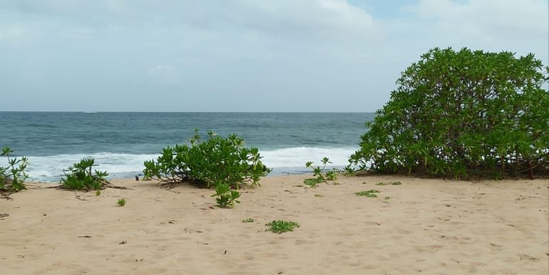 Beach Plots with Beach and Lagoon Frontage-4