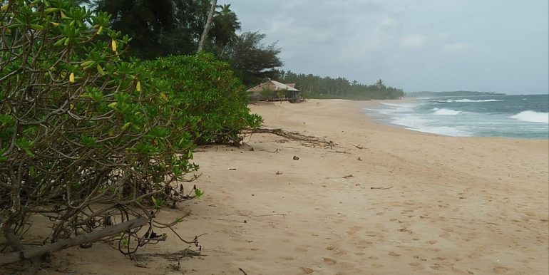 Beach Plots with Beach and Lagoon Frontage-5