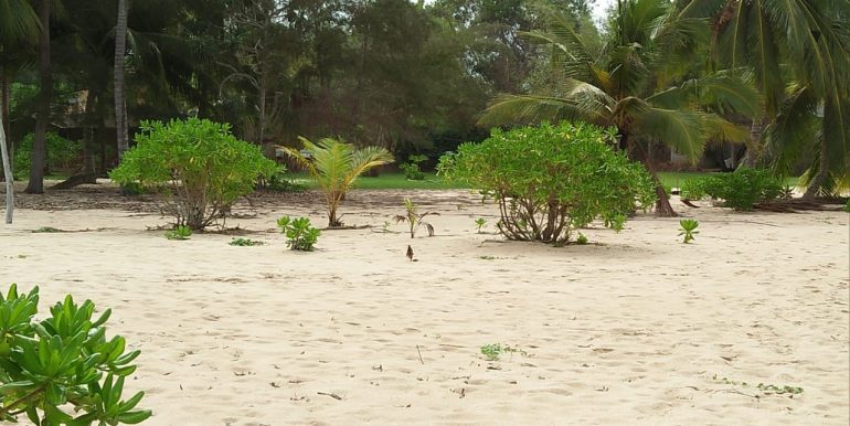 Beach Plots with Beach and Lagoon Frontage-6