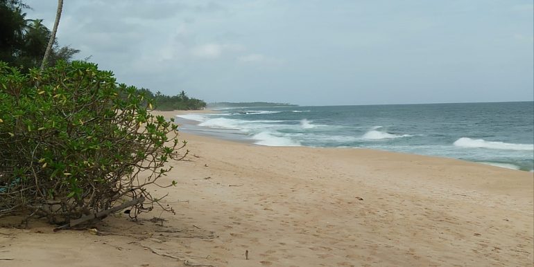 Beach Plots with Beach and Lagoon Frontage-7