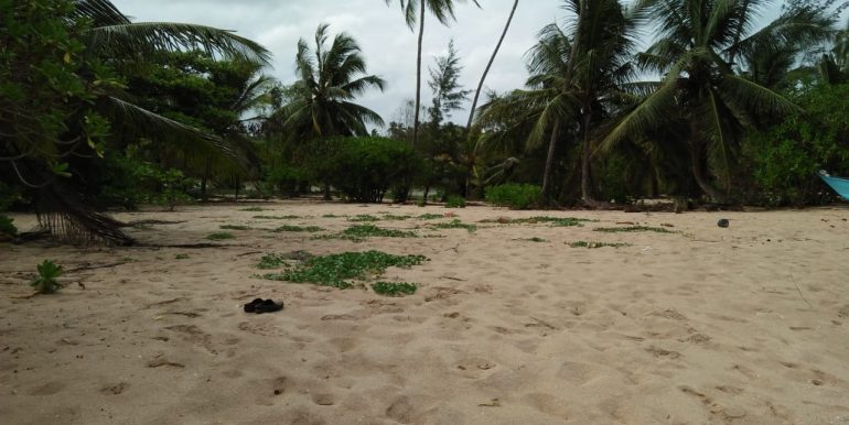 Beach Plots with Beach and Lagoon Frontage-8