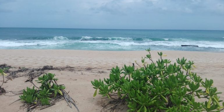 Beach Plots with Beach and Lagoon Frontage-9