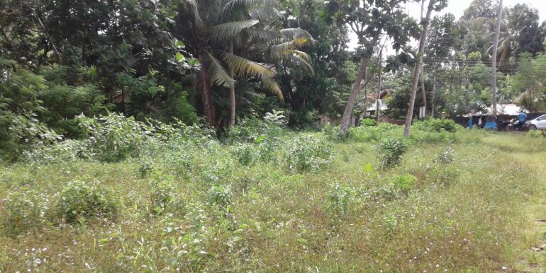 Excellent Plot in Popular Mirissa Close to Beach-2