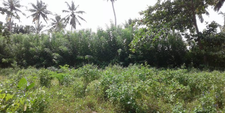 Excellent Plot in Popular Mirissa Close to Beach-3