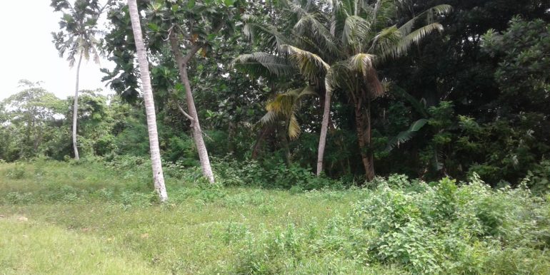 Excellent Plot in Popular Mirissa Close to Beach-6