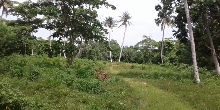 Excellent Plot in Popular Mirissa Close to Beach-7