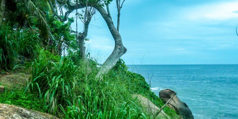 Stunning Light House View Beach Property (3 of 3)