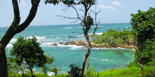 Elevated Plot with the View to Paradise